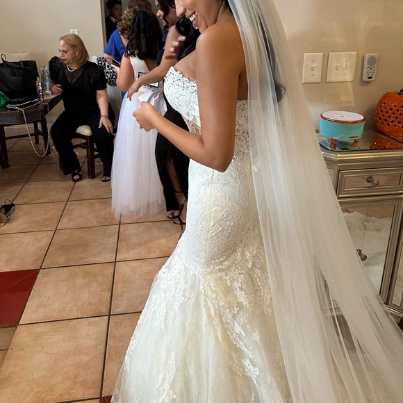 Pronovias Imelda Wedding Gown - Picture 2 of 16